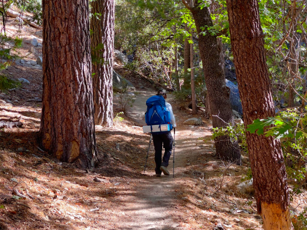 Teenager Backpacking in the Forest