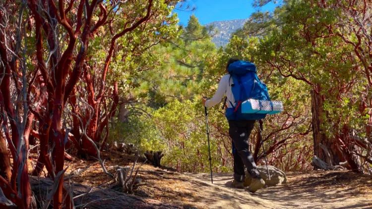 How Young Teenagers Can Overcome Challenges to Start Backpacking